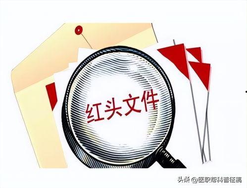 头条专业名称怎么写,深度解析行业前沿动态