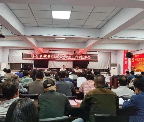 平乡镇头条,聚焦本土热点，解码发展新动向