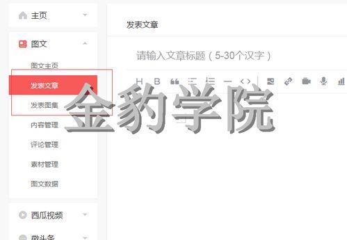 头条发文每天可以发几篇,掌握发布节奏，提升内容影响力